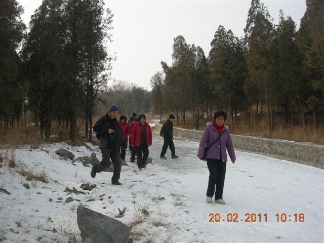 110220 爬香山 050.jpg