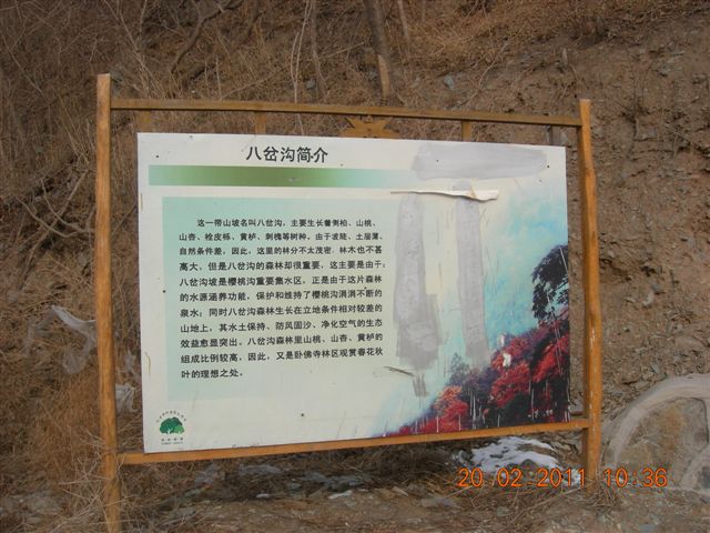 110220 爬香山 065.jpg