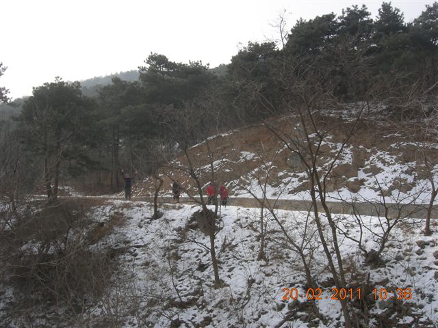 110220 爬香山 066.jpg
