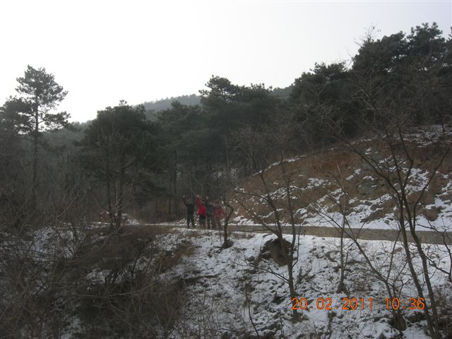 110220 爬香山 067.jpg