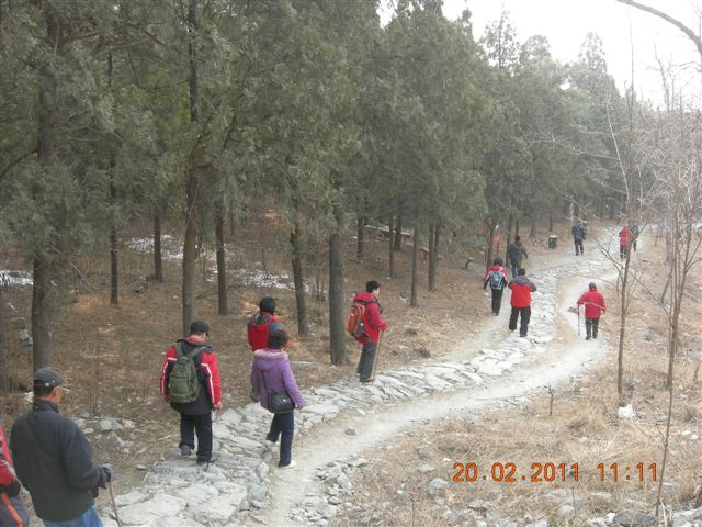 110220 爬香山 090.jpg