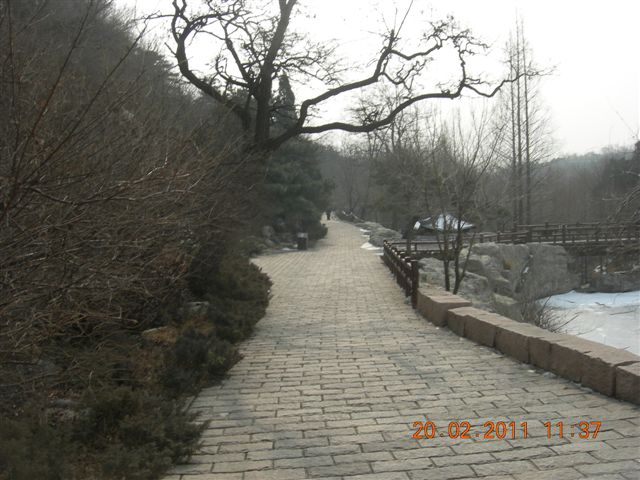 110220 爬香山 095.jpg