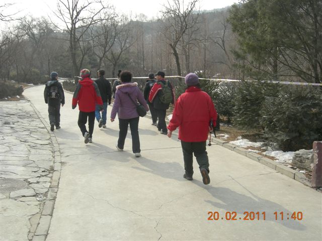 110220 爬香山 096.jpg