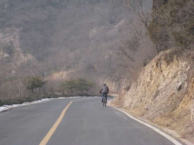 闷骚兔子骑行在路上