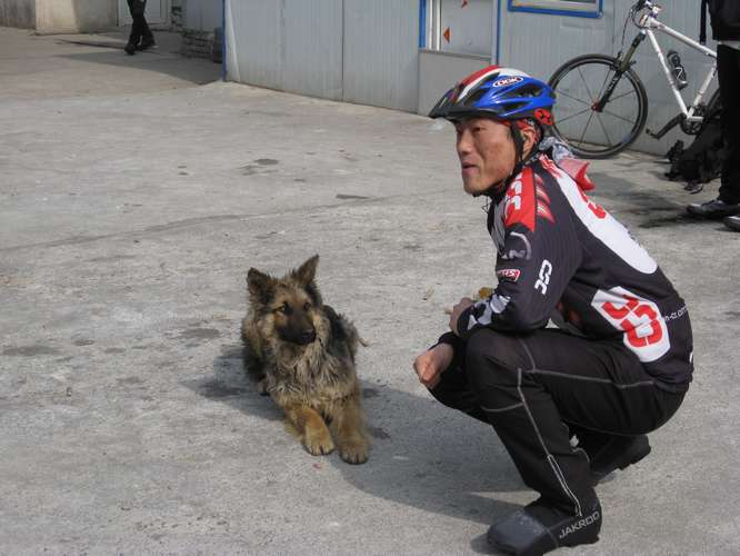 关系不错，瞧狗狗看树大妈的眼神