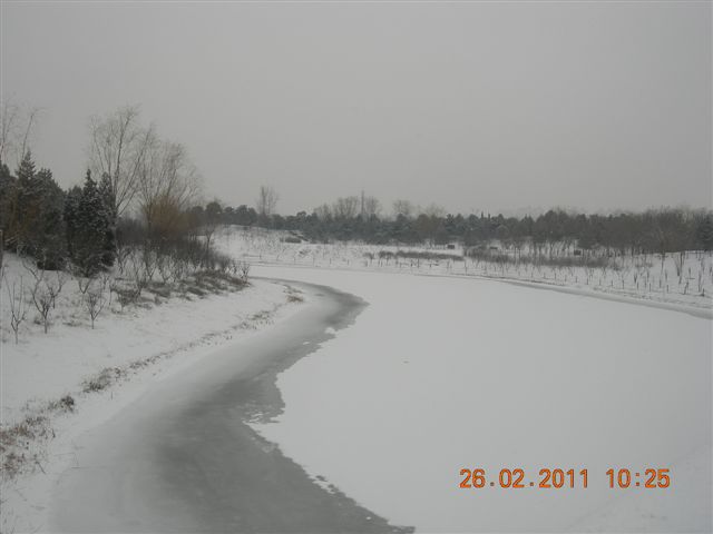 110226  雪中的奥园 010.jpg