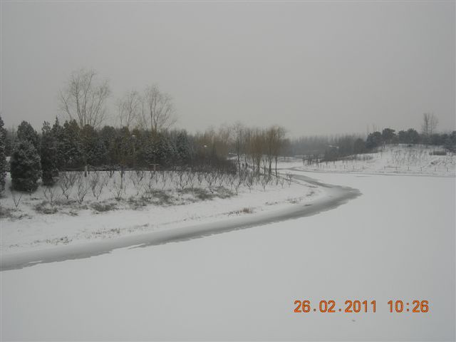 110226  雪中的奥园 011.jpg