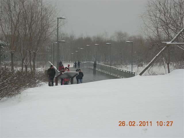 110226  雪中的奥园 012.jpg