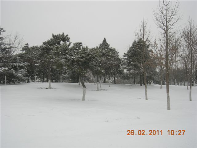 110226  雪中的奥园 013.jpg