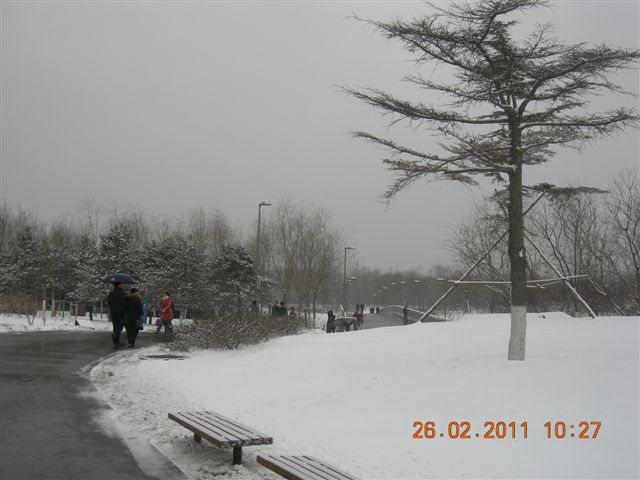 110226  雪中的奥园 014.jpg