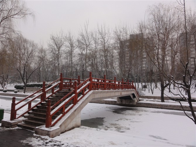 土城公园2