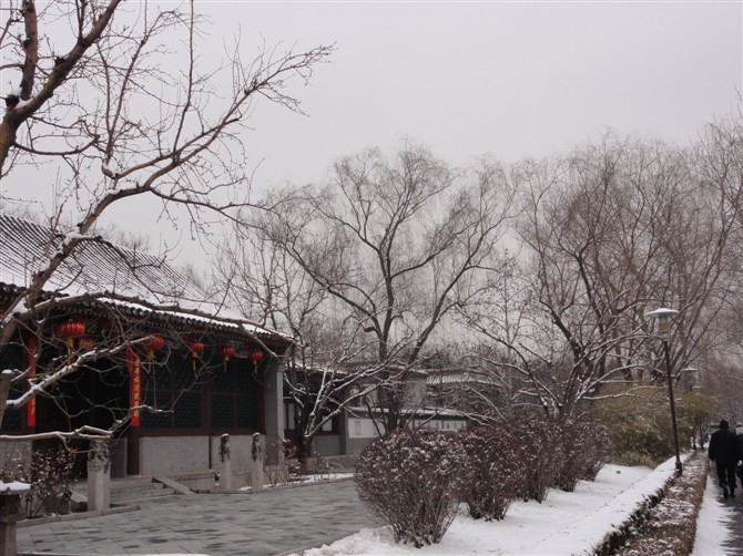 土城公园4