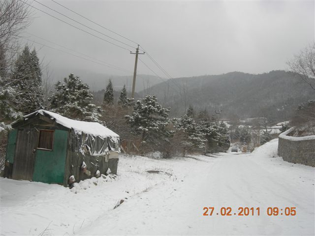 110227    香山踏雪 002.jpg