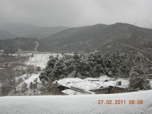 110227    香山踏雪 006.jpg