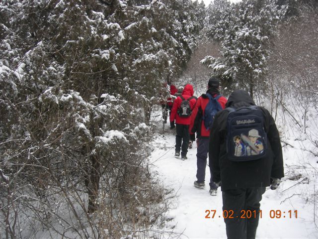 110227    香山踏雪 008.jpg