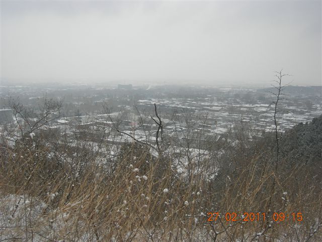110227    香山踏雪 016.jpg
