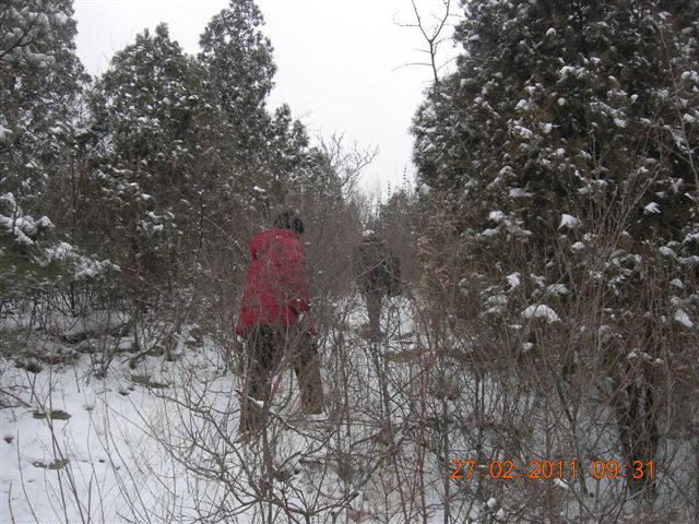 110227    香山踏雪 023.jpg