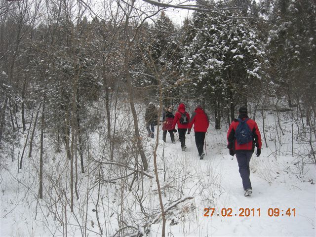 110227    香山踏雪 034.jpg