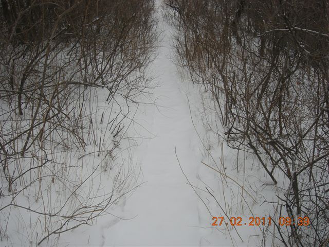 110227    香山踏雪 027.jpg