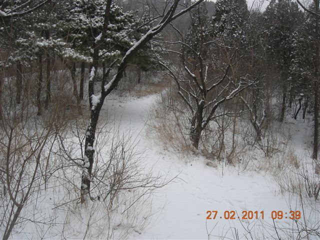 110227    香山踏雪 029.jpg