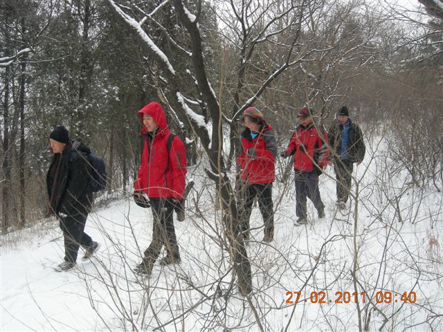 110227    香山踏雪 032.jpg