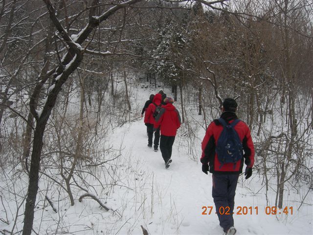 110227    香山踏雪 033.jpg