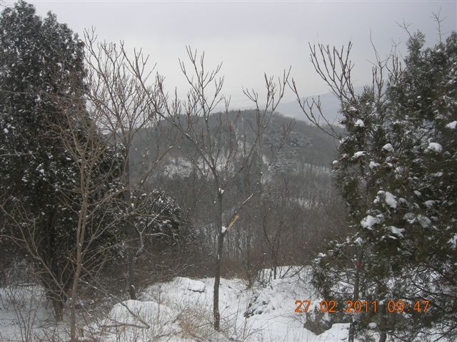 110227    香山踏雪 035.jpg