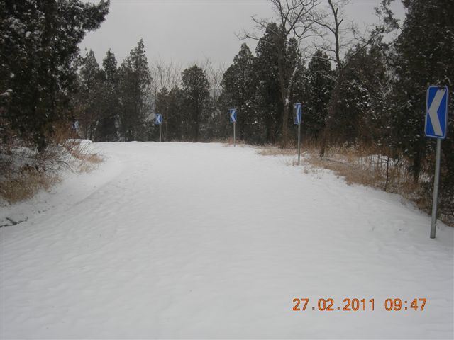 110227    香山踏雪 036.jpg