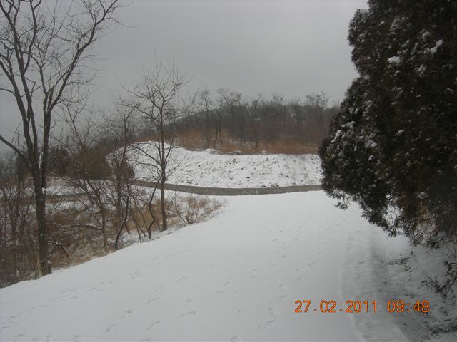 110227    香山踏雪 039.jpg