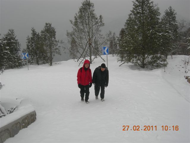 110227    香山踏雪 061.jpg