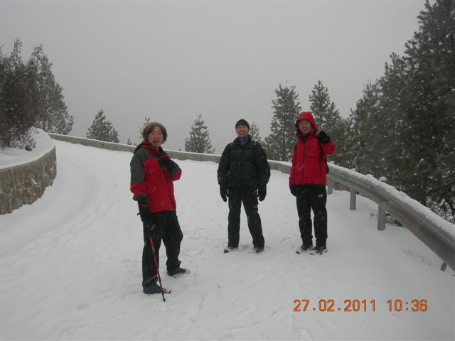 110227    香山踏雪 075.jpg