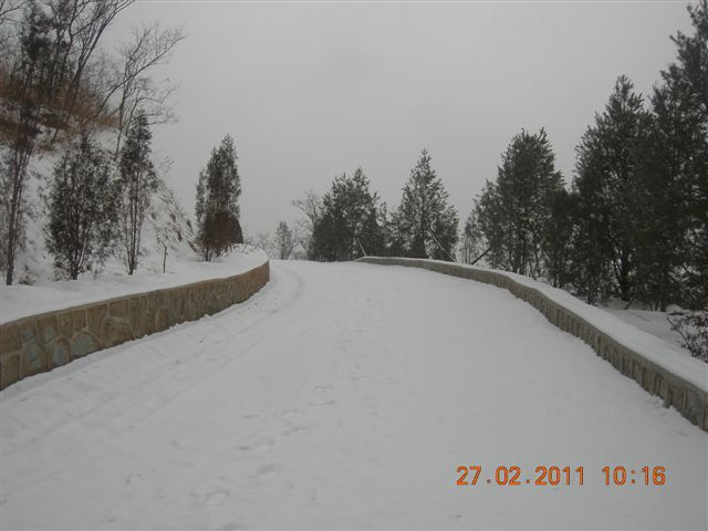 110227    香山踏雪 062.jpg