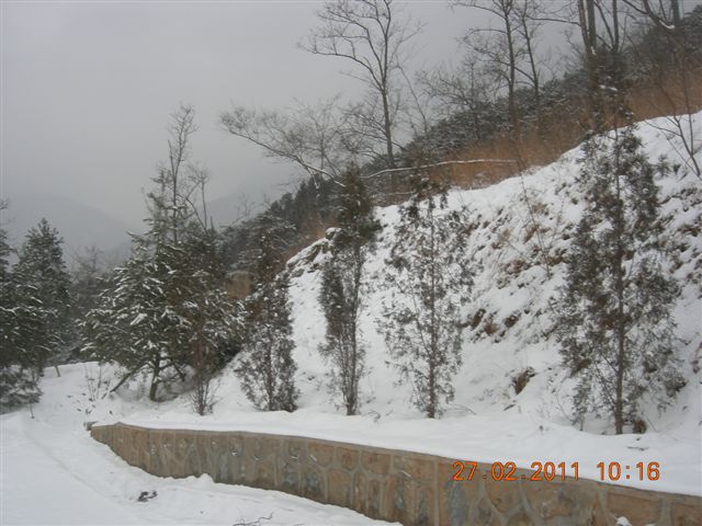 110227    香山踏雪 063.jpg