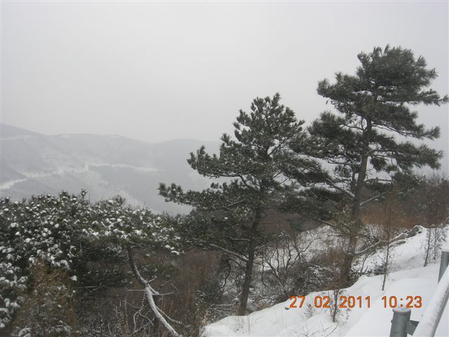 110227    香山踏雪 065.jpg