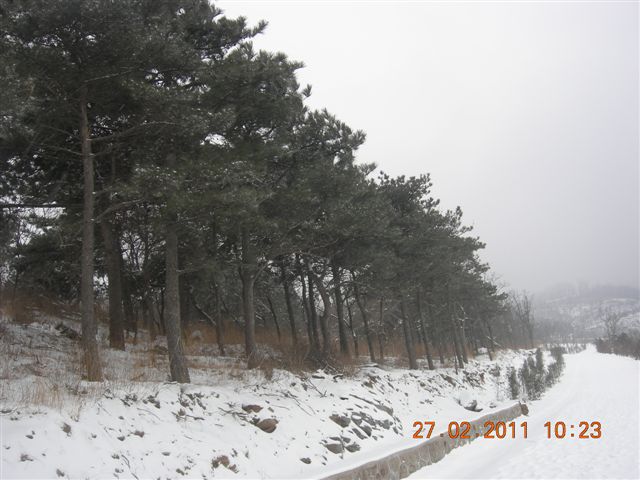 110227    香山踏雪 067.jpg