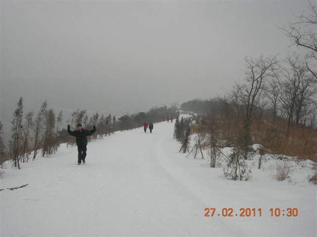 110227    香山踏雪 069.jpg