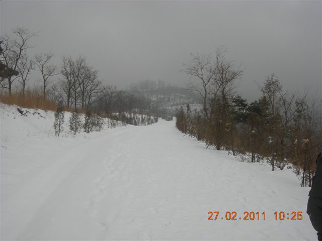 110227    香山踏雪 068.jpg