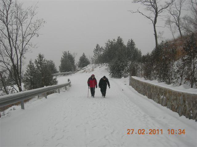 110227    香山踏雪 070.jpg