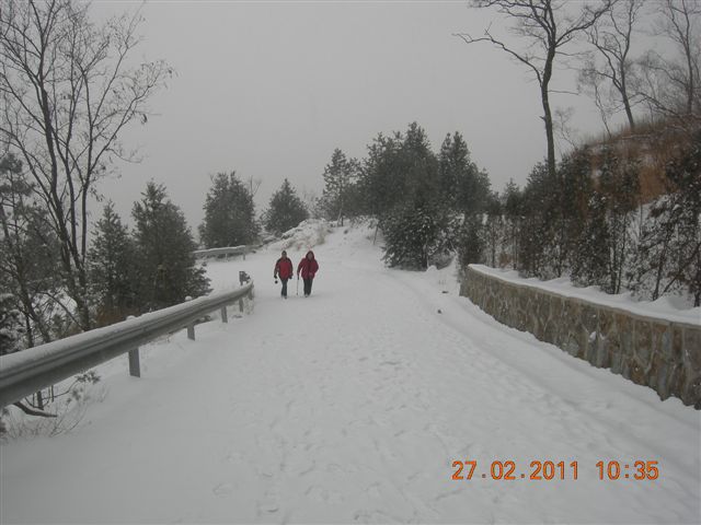 110227    香山踏雪 071.jpg