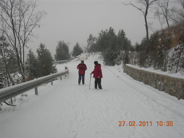 110227    香山踏雪 072.jpg