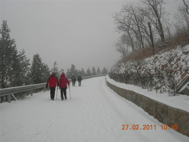 110227    香山踏雪 079.jpg