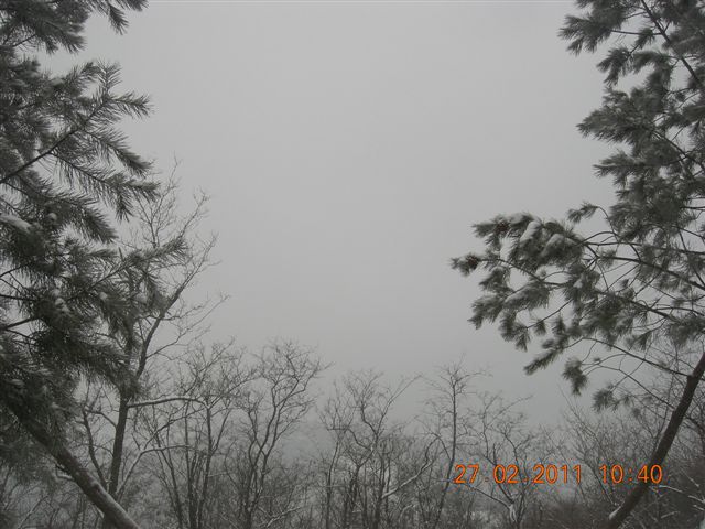 110227    香山踏雪 080.jpg