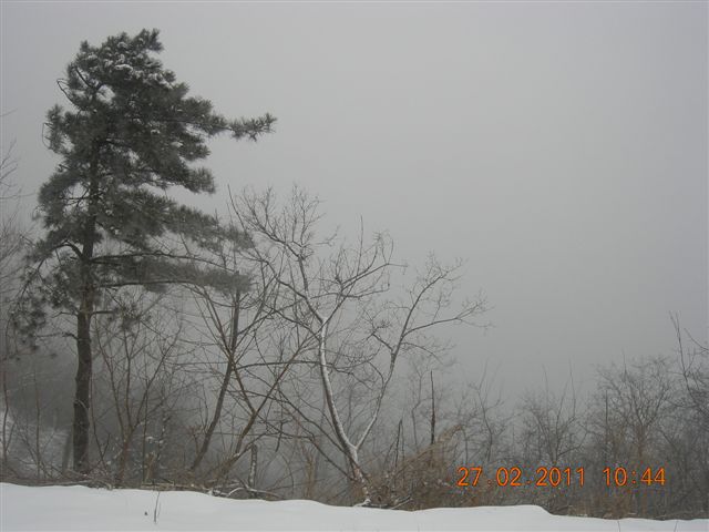 110227    香山踏雪 081.jpg