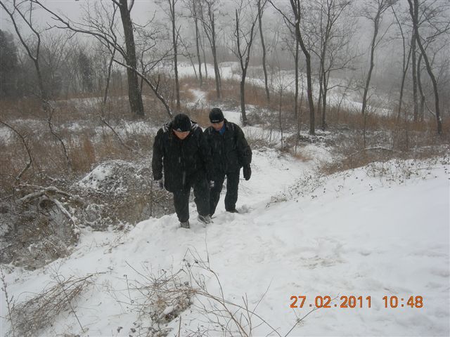 110227    香山踏雪 085.jpg