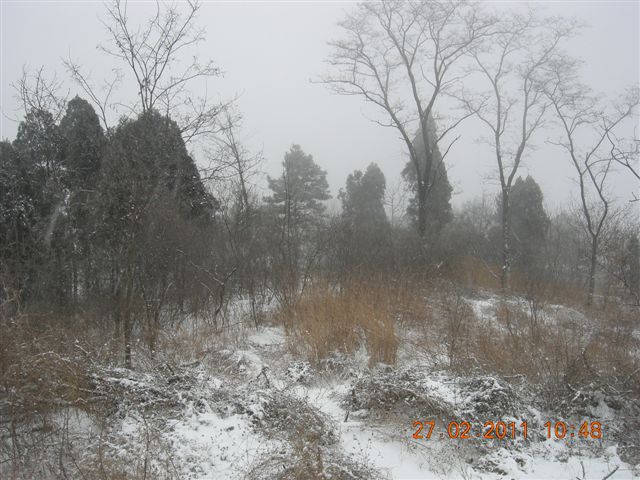 110227    香山踏雪 086.jpg