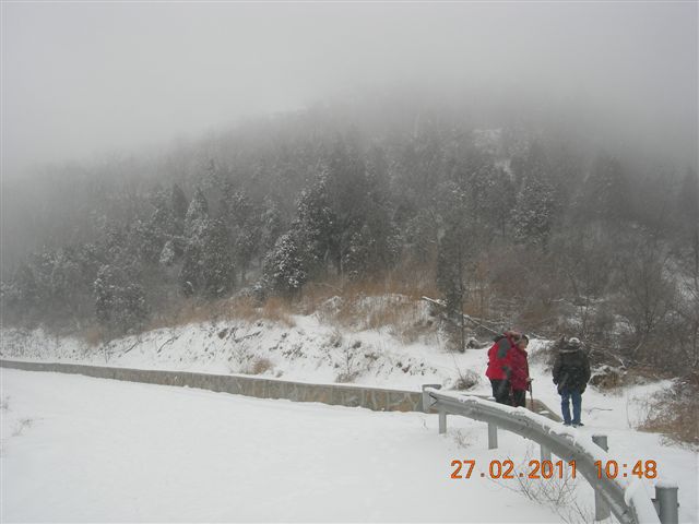 110227    香山踏雪 087.jpg