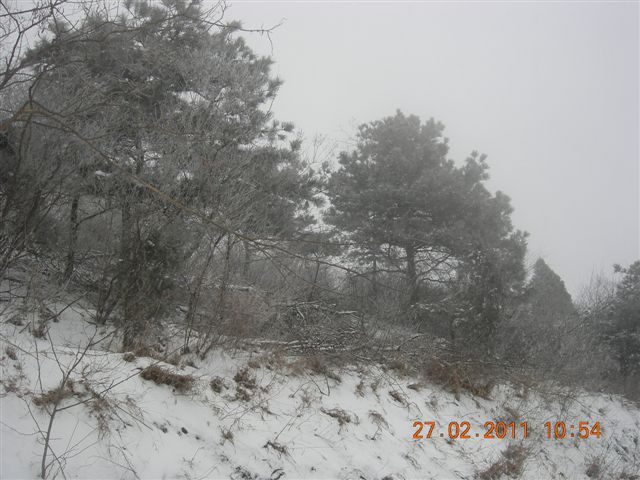 110227    香山踏雪 088.jpg