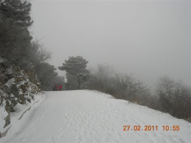 110227    香山踏雪 092.jpg