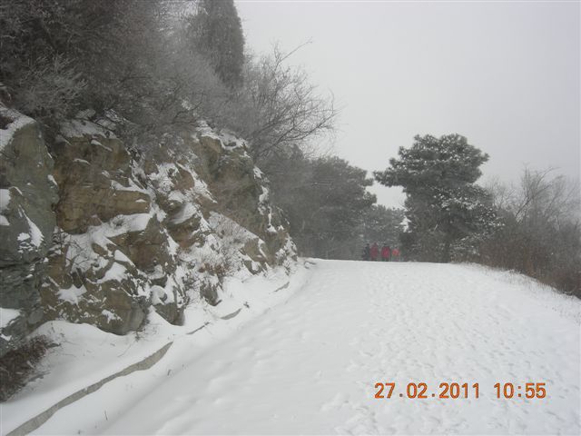 110227    香山踏雪 093.jpg