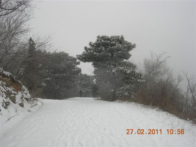 110227    香山踏雪 098.jpg